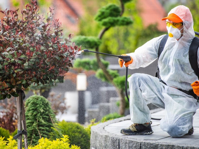 Savaştepe Haşere İlaçlama